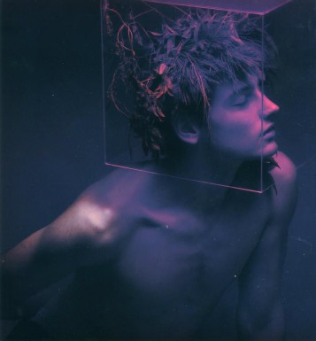 1016619_384675791631899_2022421733_n