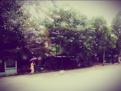 1378725_426395527459925_2135673809_n