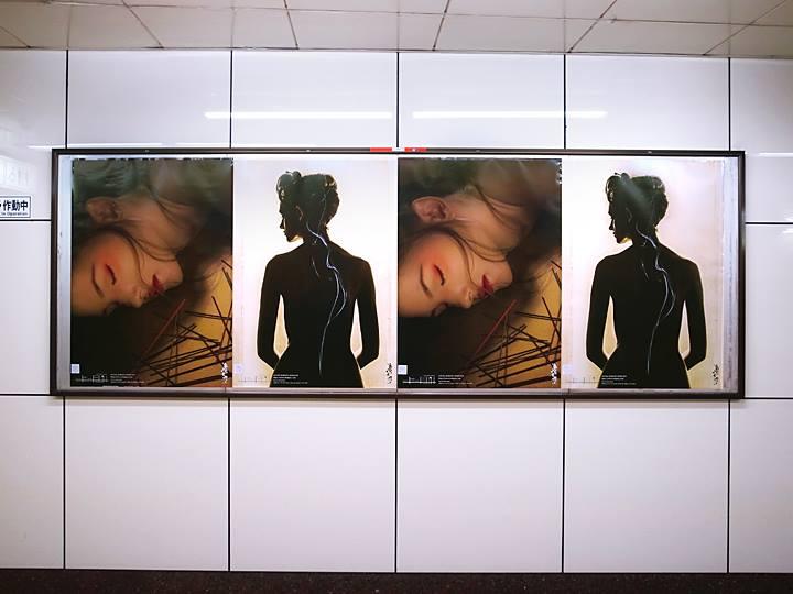 10666013_549782061787937_6946479234321641905_n