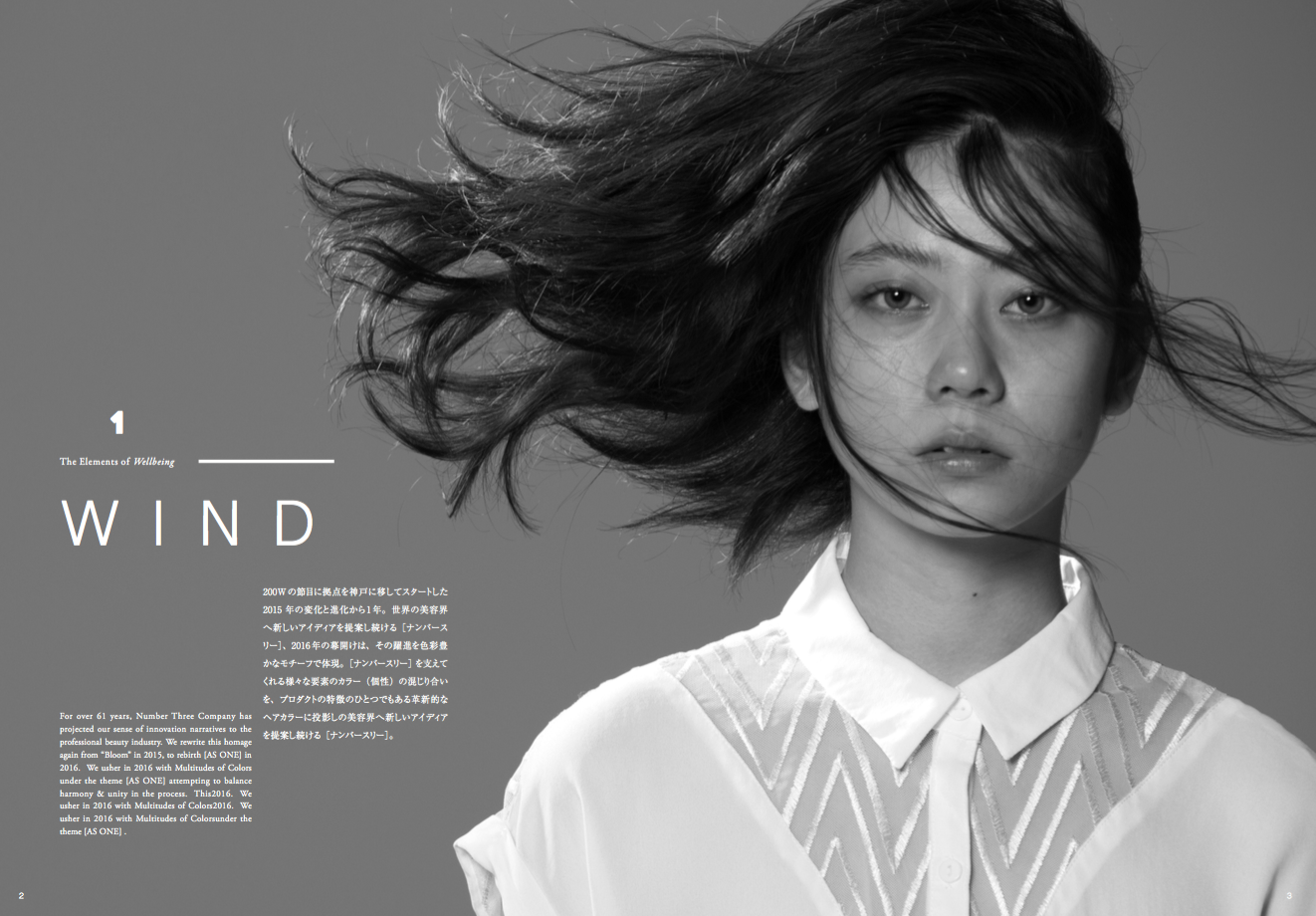 スクリーンショット 2017-01-31 9.39.21