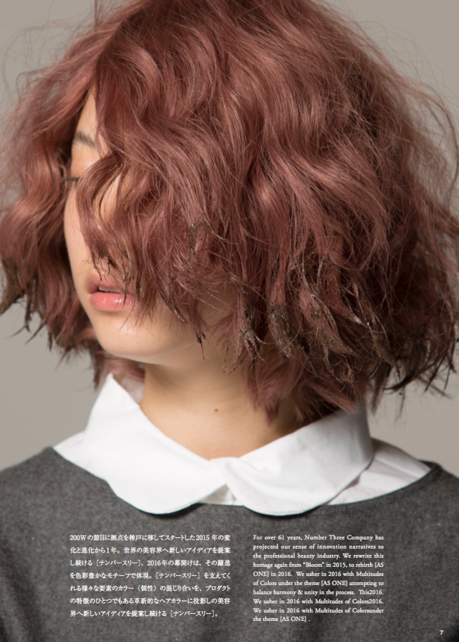 スクリーンショット 2017-01-31 9.39.41